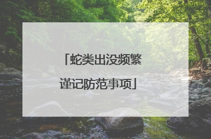 蛇类出没频繁 谨记防范事项