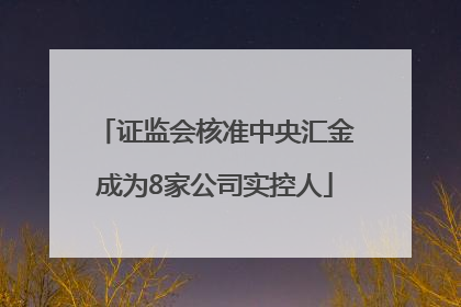 证监会核准中央汇金成为8家公司实控人