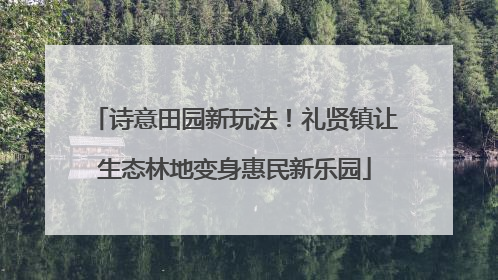 诗意田园新玩法！礼贤镇让生态林地变身惠民新乐园