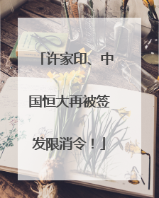 许家印、中国恒大再被签发限消令！