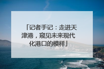 记者手记：走进天津港，窥见未来现代化港口的模样