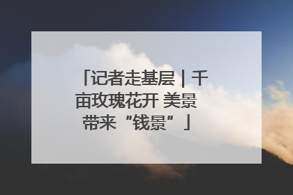记者走基层｜千亩玫瑰花开 美景带来“钱景”