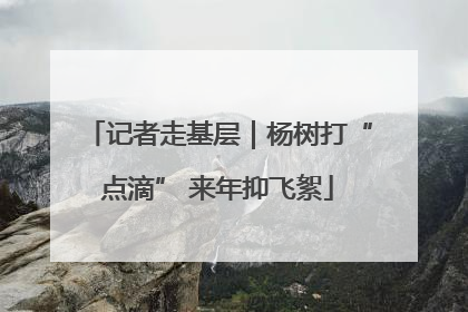 记者走基层｜杨树打“点滴” 来年抑飞絮
