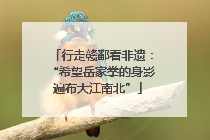 行走赣鄱看非遗：“希望岳家拳的身影遍布大江南北”