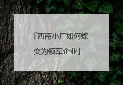 西南小厂如何蝶变为领军企业