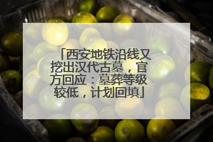 西安地铁沿线又挖出汉代古墓，官方回应：墓葬等级较低，计划回填