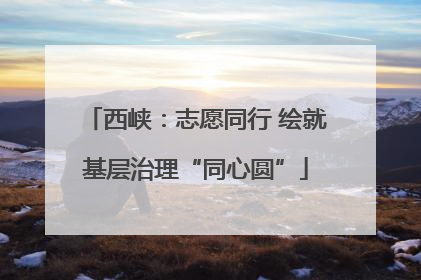 西峡：志愿同行 绘就基层治理“同心圆”
