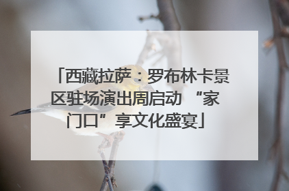 西藏拉萨：罗布林卡景区驻场演出周启动 “家门口”享文化盛宴