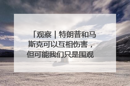 观察｜特朗普和马斯克可以互相伤害，但可能我们只是围观了一场闹剧