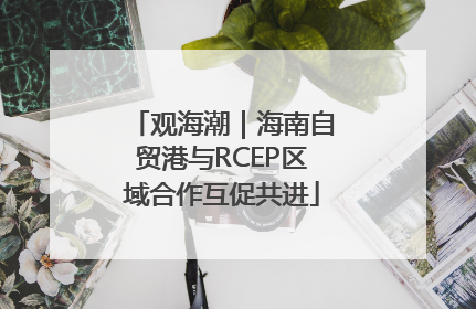 观海潮｜海南自贸港与RCEP区域合作互促共进