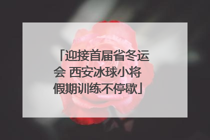 迎接首届省冬运会 西安冰球小将假期训练不停歇
