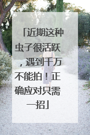近期这种虫子很活跃，遇到千万不能拍！正确应对只需一招