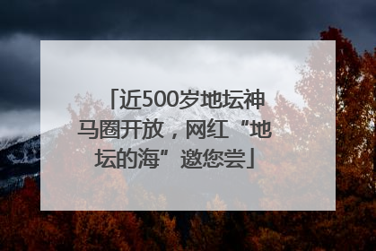 近500岁地坛神马圈开放，网红“地坛的海”邀您尝