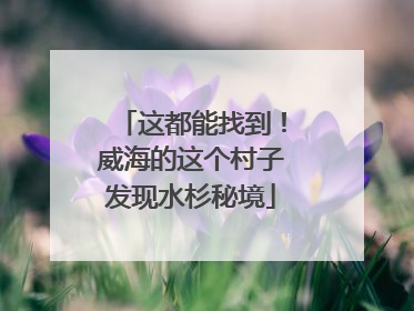 这都能找到！威海的这个村子发现水杉秘境
