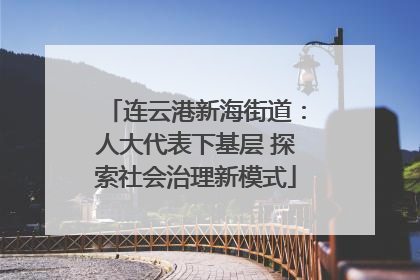 连云港新海街道：人大代表下基层 探索社会治理新模式