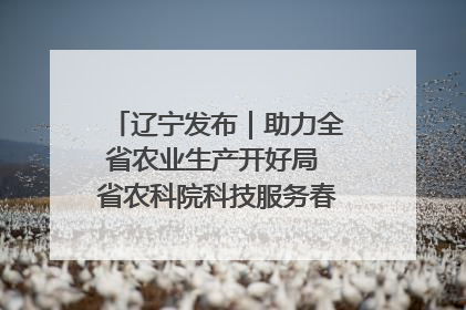辽宁发布｜助力全省农业生产开好局 省农科院科技服务春耕备耕成效显著