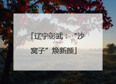 辽宁彰武：“沙窝子”焕新颜