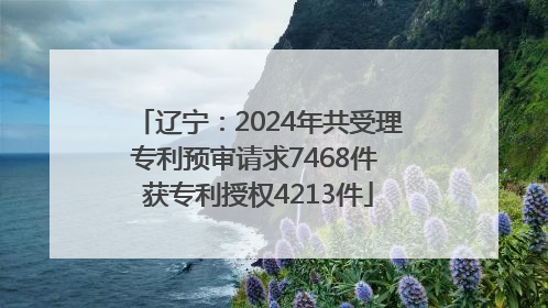 辽宁：2024年共受理专利预审请求7468件 获专利授权4213件