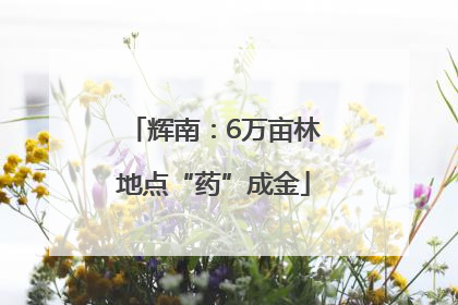 辉南：6万亩林地点“药”成金