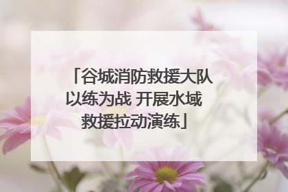 谷城消防救援大队以练为战 开展水域救援拉动演练