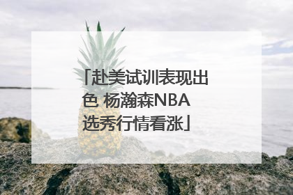赴美试训表现出色 杨瀚森NBA选秀行情看涨