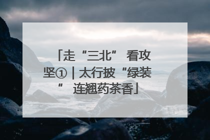 走“三北” 看攻坚①｜太行披“绿装” 连翘药茶香