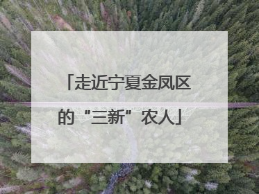 走近宁夏金凤区的“三新”农人