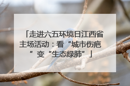 走进六五环境日江西省主场活动：看“城市伤疤”变“生态绿肺”