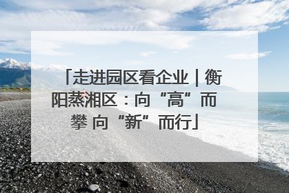走进园区看企业｜衡阳蒸湘区：向“高”而攀 向“新”而行