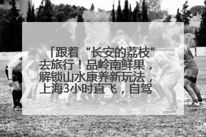 跟着“长安的荔枝”去旅行！品岭南鲜果，解锁山水康养新玩法，上海3小时直飞，自驾高速费优惠