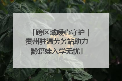 跨区域暖心守护｜贵州驻温劳务站助力黔籍娃入学无忧