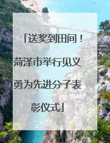 送奖到田间！菏泽市举行见义勇为先进分子表彰仪式