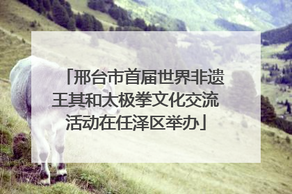 邢台市首届世界非遗王其和太极拳文化交流活动在任泽区举办