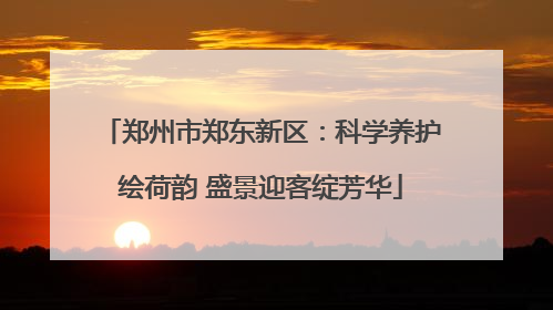 郑州市郑东新区：科学养护绘荷韵 盛景迎客绽芳华