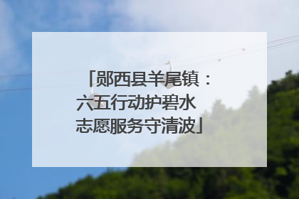 郧西县羊尾镇：六五行动护碧水 志愿服务守清波