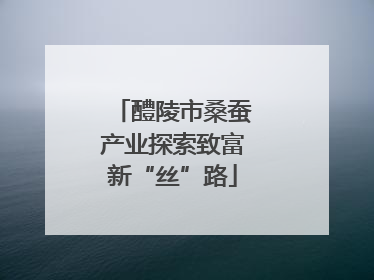 醴陵市桑蚕产业探索致富新“丝”路