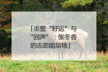 重塑“好运”与“回声”：张冬香的志愿能量场