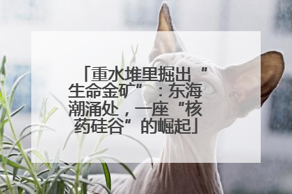 重水堆里掘出“生命金矿”：东海潮涌处，一座“核药硅谷”的崛起