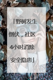野树发生倒伏，社区4小时消除安全隐患