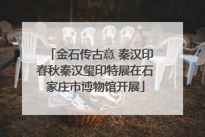 金石传古意 秦汉印春秋秦汉玺印特展在石家庄市博物馆开展