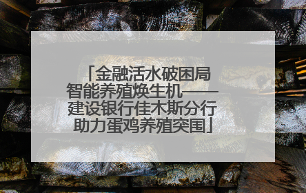 金融活水破困局 智能养殖焕生机——建设银行佳木斯分行助力蛋鸡养殖突围