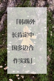 韩前外长肯定中国多边合作实践