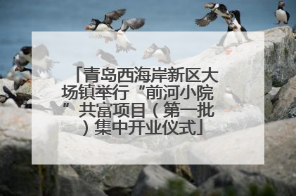 青岛西海岸新区大场镇举行“前河小院”共富项目（第一批）集中开业仪式