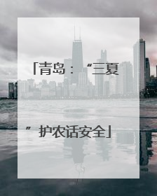 青岛：“三夏”护农话安全