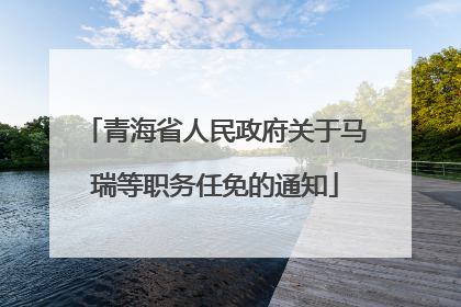 青海省人民政府关于马瑞等职务任免的通知