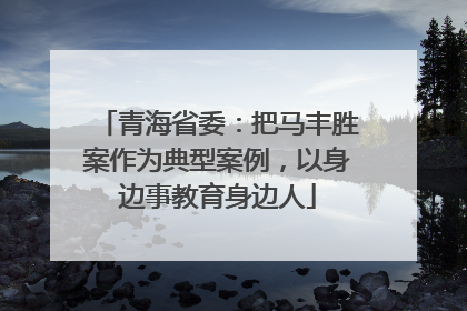 青海省委：把马丰胜案作为典型案例，以身边事教育身边人