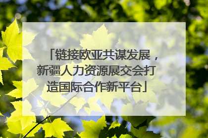 链接欧亚共谋发展，新疆人力资源展交会打造国际合作新平台