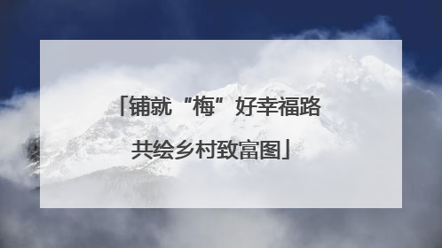 铺就“梅”好幸福路 共绘乡村致富图