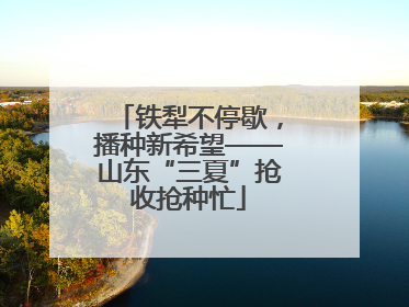 铁犁不停歇，播种新希望——山东“三夏”抢收抢种忙