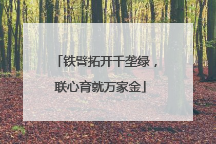 铁臂拓开千垄绿，联心育就万家金